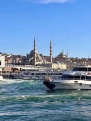 Türkiye, Istanbul - Bosphorus cruise