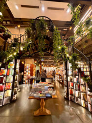 Türkiye, Istanbul - Minoa Pera bookstore
