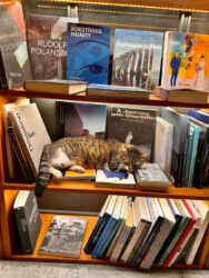 Türkiye, Istanbul - Minoa Pera bookstore