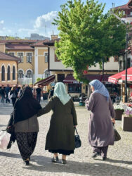 Türkiye, Eskişehir - The town