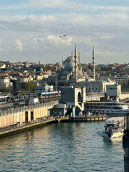 Türkiye, Istanbul - Galata Bridge