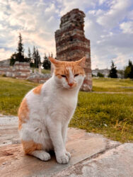 Türkiye, Selçuk - The Byzantine Aqueduct