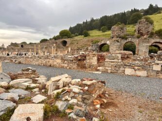 Türkiye, Ephesus - Ephesus Archaeological Site