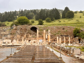 Türkiye, Ephesus - Ephesus Archaeological Site