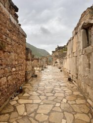 Türkiye, Ephesus - Ephesus Archaeological Site