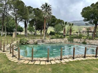 Türkiye, Pamukkale - Antique Pool (Cleopatra's Pool)