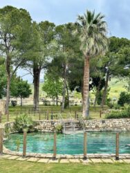 Türkiye, Pamukkale - Antique Pool (Cleopatra's Pool)