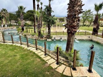 Türkiye, Pamukkale - Antique Pool (Cleopatra's Pool)