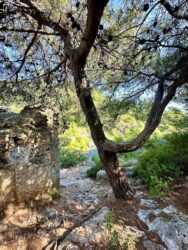 Türkiye, Kayaköy - Abandoned Greek ghost town