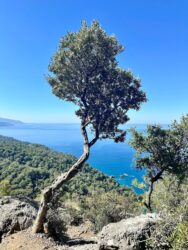 Türkiye, Kayaköy - The famous hike to the beach town of Ölüdeniz, a section of the ancient Lycian Way