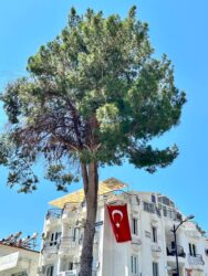 Türkiye, Kas - Old Town
