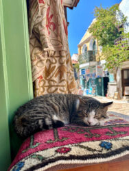 Türkiye, Kas - Cat
