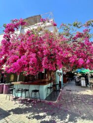 Türkiye, Kas - Old Town