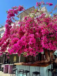 Türkiye, Kas - Old Town