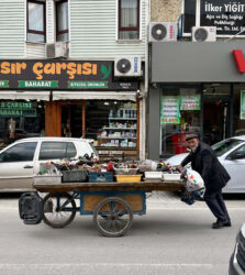Türkiye, Beyşehir - The town