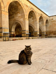 Türkiye, Nevşehir - Saruhan Caravanserai
